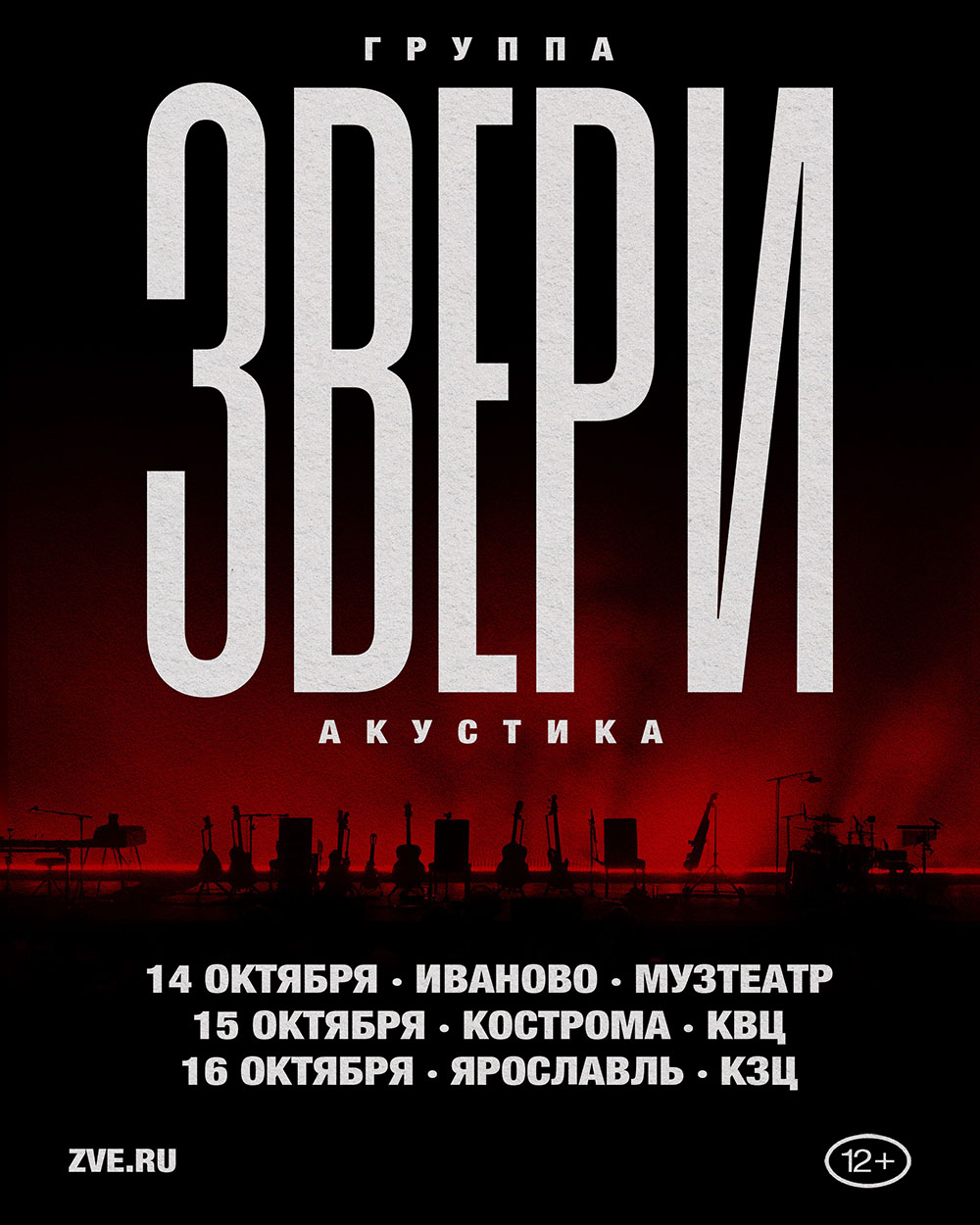 Концерт группы Звери в Воронеже
