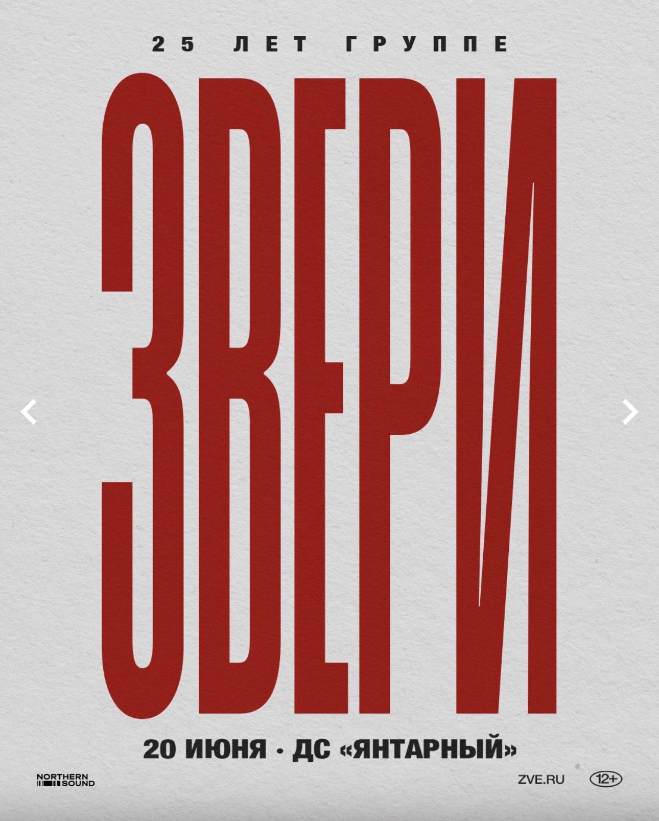 Концерт группы Звери в Калининграде