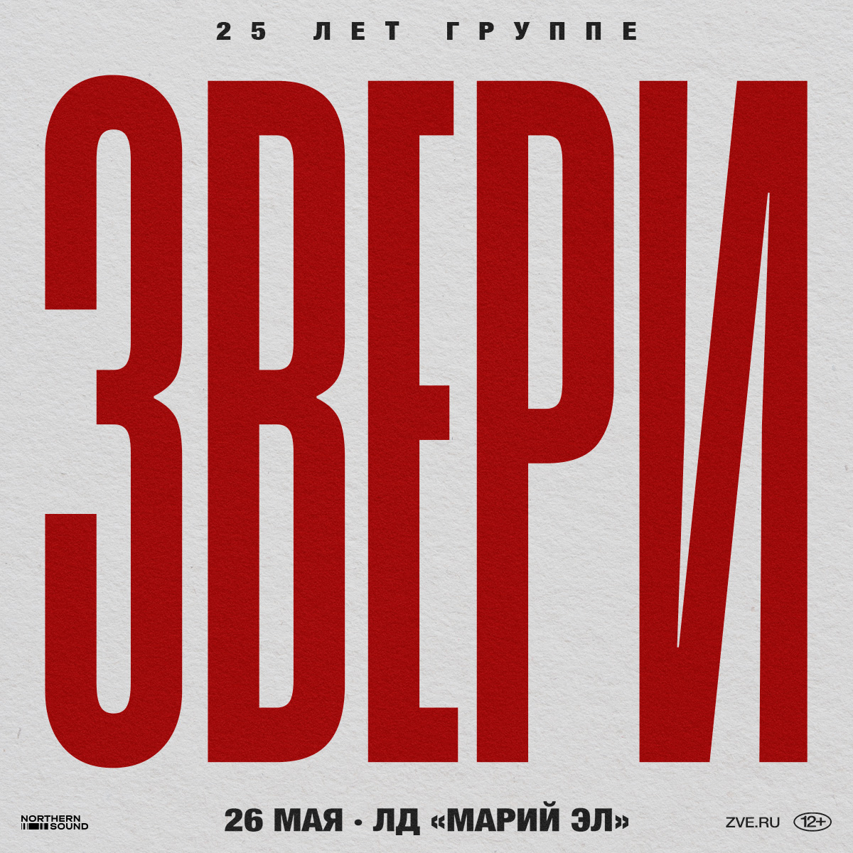 Концерт группы Звери в Йошкар-Оле